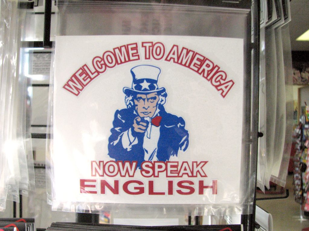 Насколько хорошо иммигранты говорят по-английски?