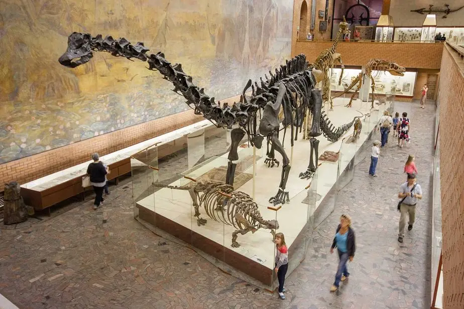 В какой стране лучше всего развита палеонтология?