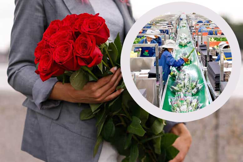Откуда везут китайские розы в Москву?