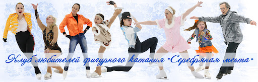 ТОП-15 самых лучших школ фигурного катания в мире