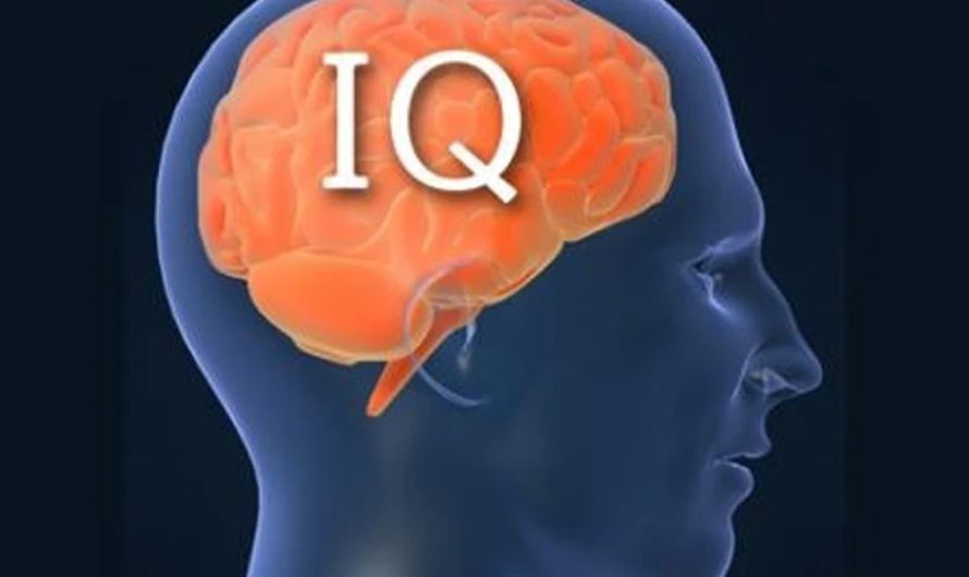 Простой тест, который может подтвердить высокий IQ — но он выявляет и слабые стороны
