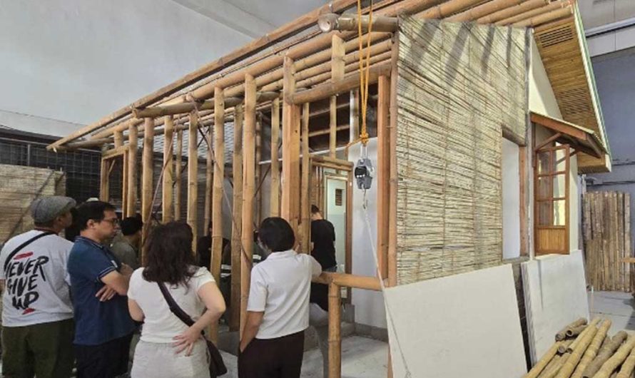 Фоторазбор: жители критикуют «экспериментальные» бамбуковые здания