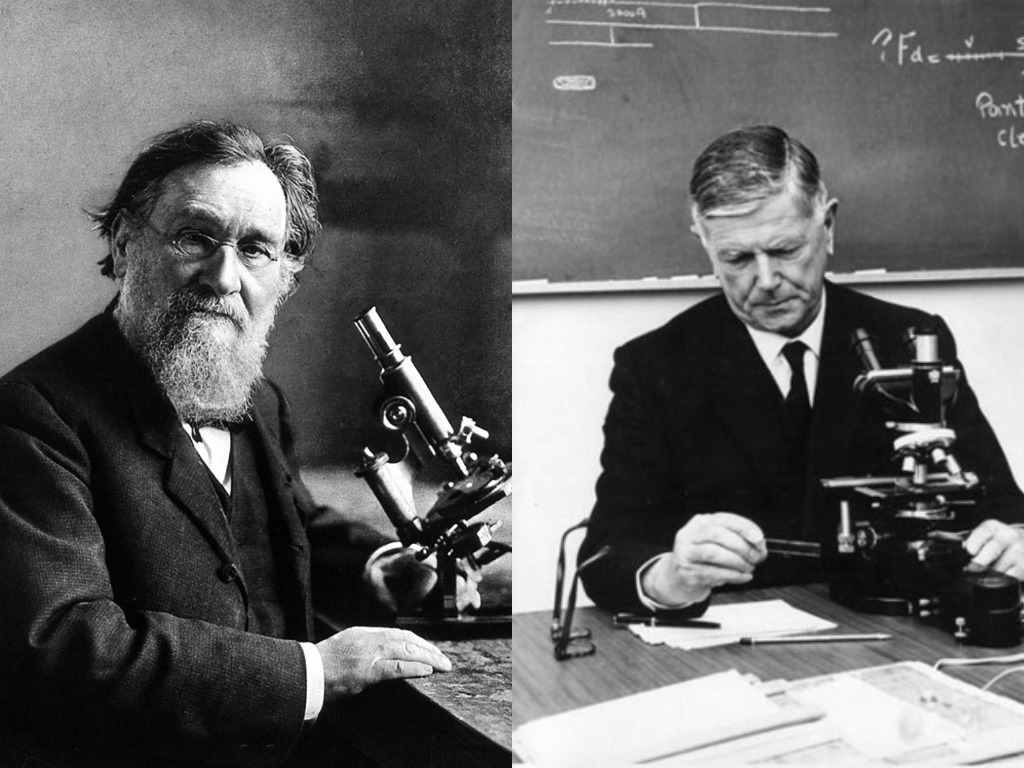 15 самых известных иммунологов за всю историю 15 самых известных иммунологов за всю историю