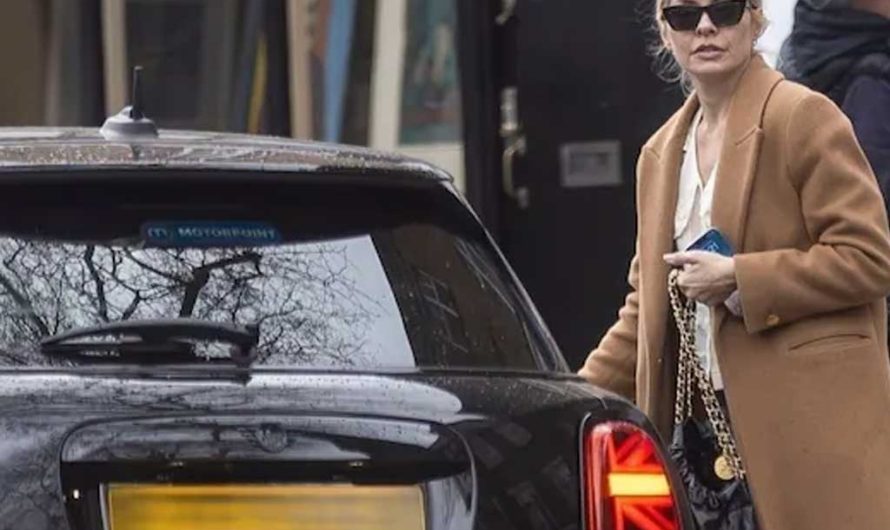 Суд оштрафовал Холли Уиллоби за столкновение с мопедом: что известно о деле