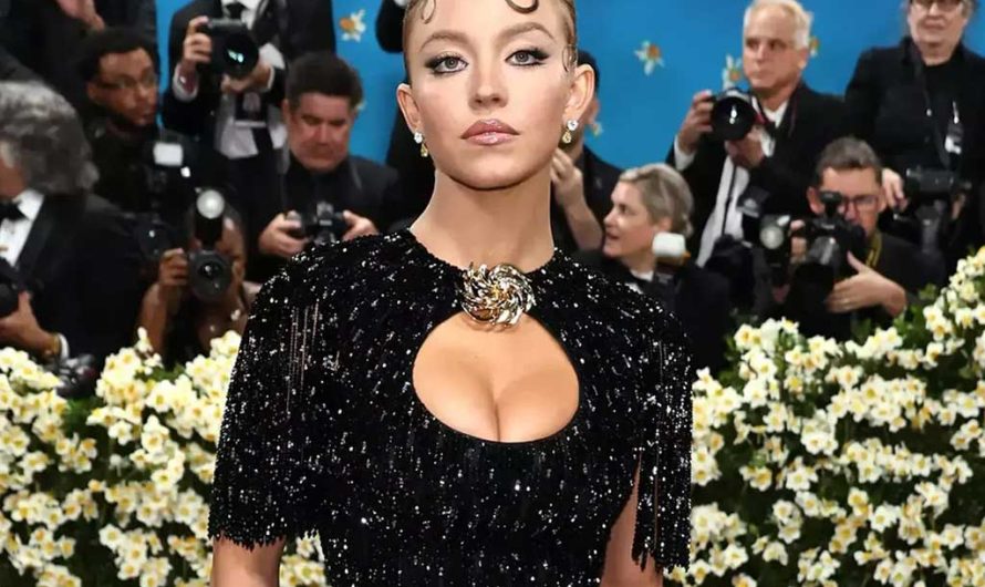 ТОП-8 самых дорогих платьев Сидни Суини 2025 года