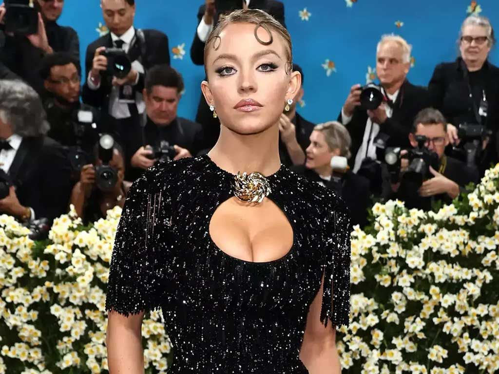 ТОП-8 самых дорогих платьев Сидни Суини 2025 года ТОП-8 самых дорогих платьев Сидни Суини 2025 года