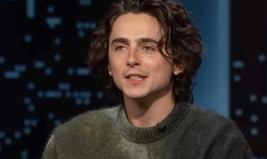 Как Тимоти Шаламе стал главным актером 2025 года — новый взлет карьеры