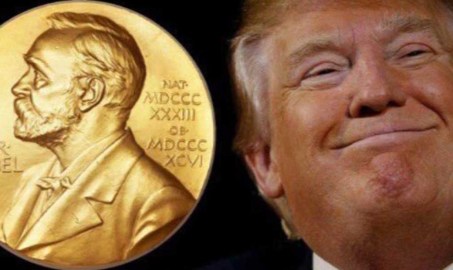 Какой IQ у Дональда Трампа — зачем президент США пытается получить мировое признание?