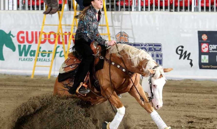 8 фактов о Джине Шумахер: кем работает дочь Михаэля Шумахера?