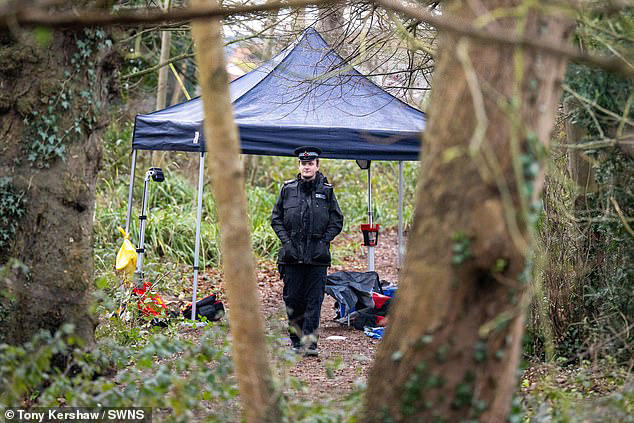 Что известно о трагическом убийстве 15-летнего подростка в Гилфорде - хронология событий