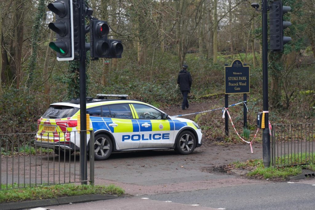 Что известно о трагическом убийстве 15-летнего подростка в Гилфорде - хронология событий