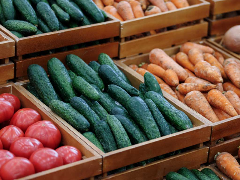 10 продуктов, подорожавших больше всего в России в январе 2026 года - список 10 продуктов, подорожавших больше всего в России в январе 2026 года - список