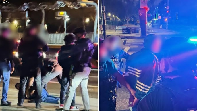 10 фактов о Нике Райнере и убийстве его родителей - все детали дела