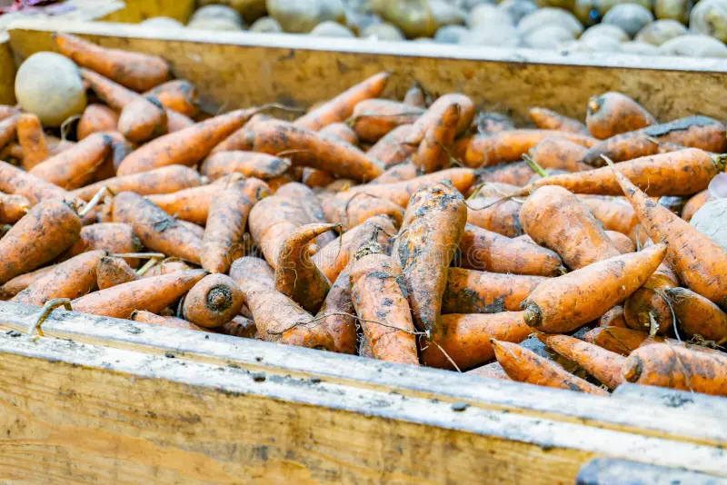 10 продуктов, подорожавших больше всего в России в январе 2026 года - список