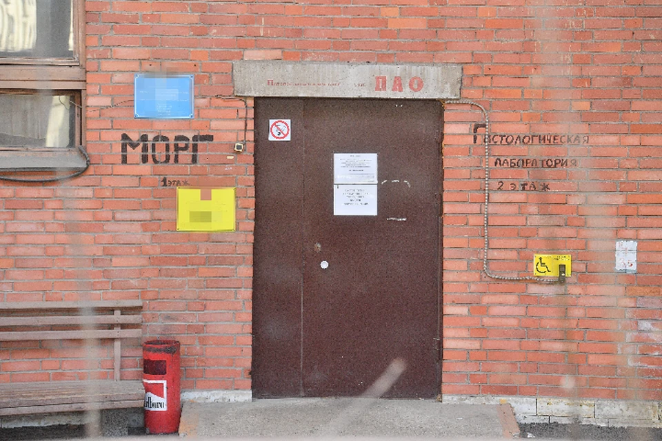 Скандал в морге Тулуна: видео Артема Павлечко, антисанитария и задержание