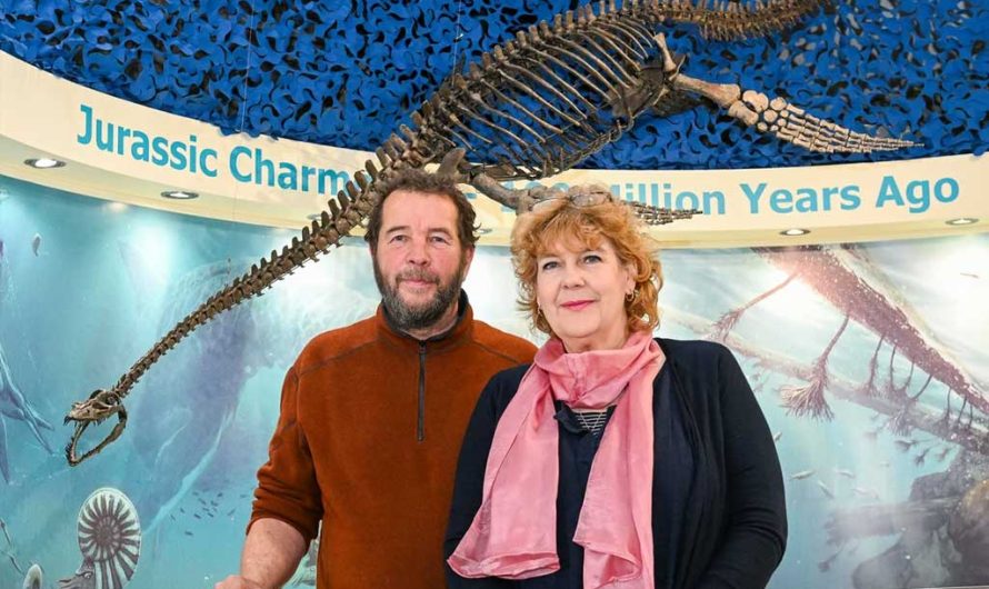 ТОП-10 открытий палеонтологии США: плезиозавр и ксифактин (ФОТО)