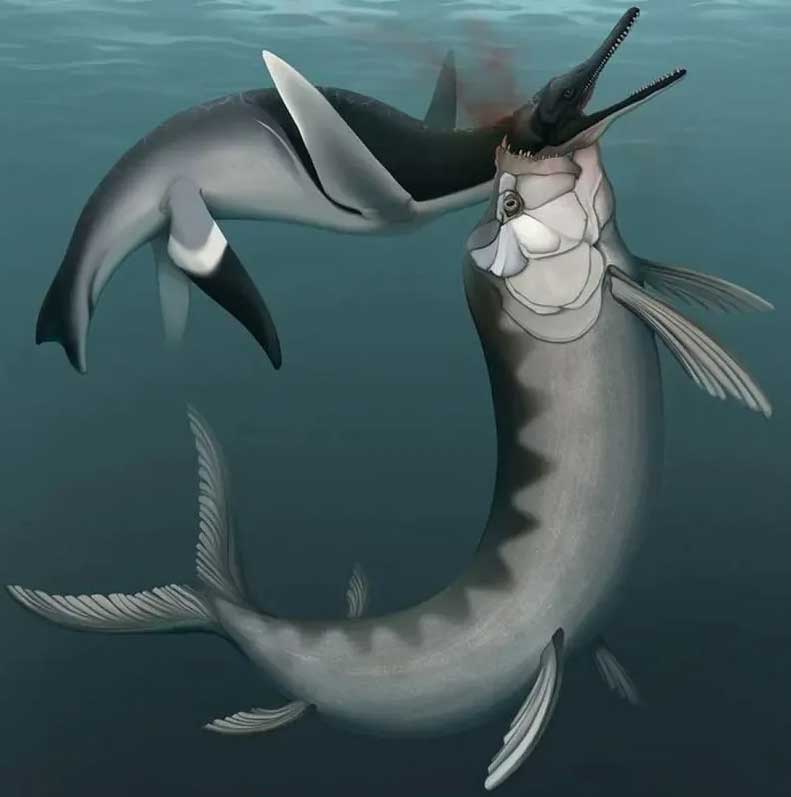 ТОП-10 открытий палеонтологии США: плезиозавр и ксифактин (ФОТО)